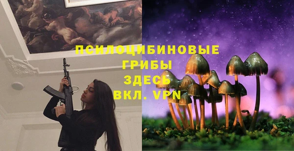 apvp Абаза