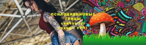 гашик Заволжск